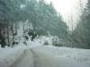 DSC09208.JPG
