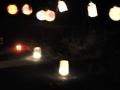 DSC01843c.jpg