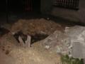 DSC09629.jpg