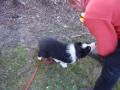 DSC01313.JPG
