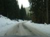 DSC09220.JPG