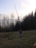 DSC02948.jpg