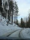 DSC09203.JPG