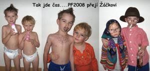 PF2008_1.jpg