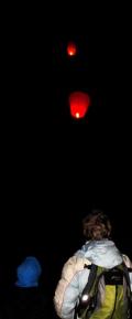 DSC01853c.jpg