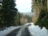 DSC09206.JPG