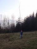 DSC02949.jpg