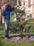 DSC01292.JPG