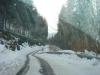 DSC09209.JPG