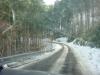 DSC09205.JPG