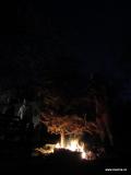 DSC03588.JPG