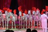 2013-05-31-3229.JPG