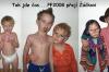 .%2F%2F2008-01-05-PFIris