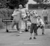 DSC%200838-1%20%28Large%29.jpg