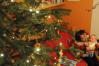 DSC%202911c.jpg