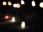DSC01843c.jpg