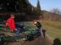 DSC02930.jpg