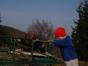 DSC02936.jpg