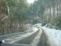 DSC09205.JPG