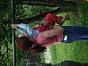 DSC05531.jpg