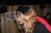 IMG%201259.JPG