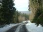 DSC09206.JPG