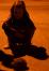 DSC%200568con.JPG