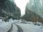 DSC09209.JPG