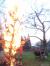 DSC03581.JPG