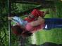 DSC05531.JPG