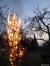 DSC03582.JPG
