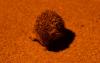DSC%200570con.JPG