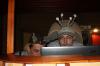IMG%201194.JPG