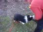 DSC01313.JPG
